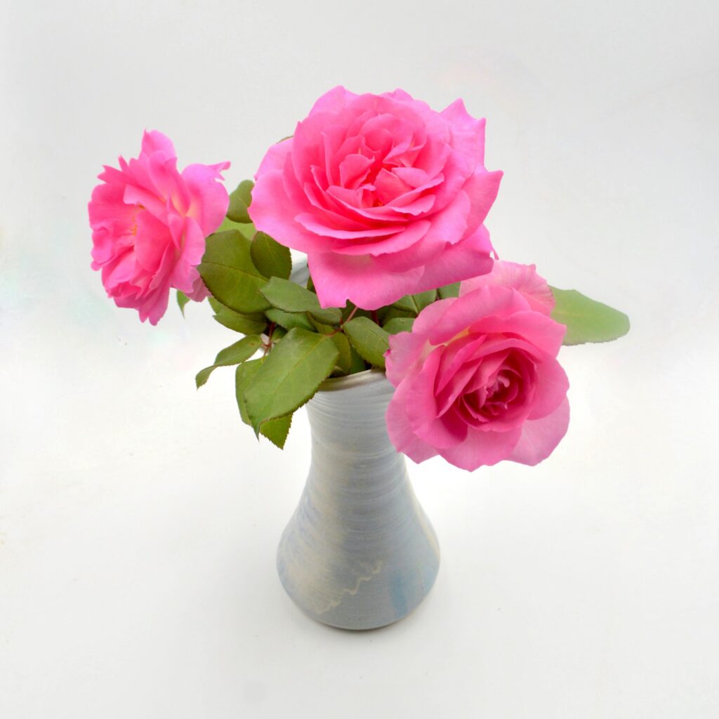 Beautiful pink roses in a vase on the table.
