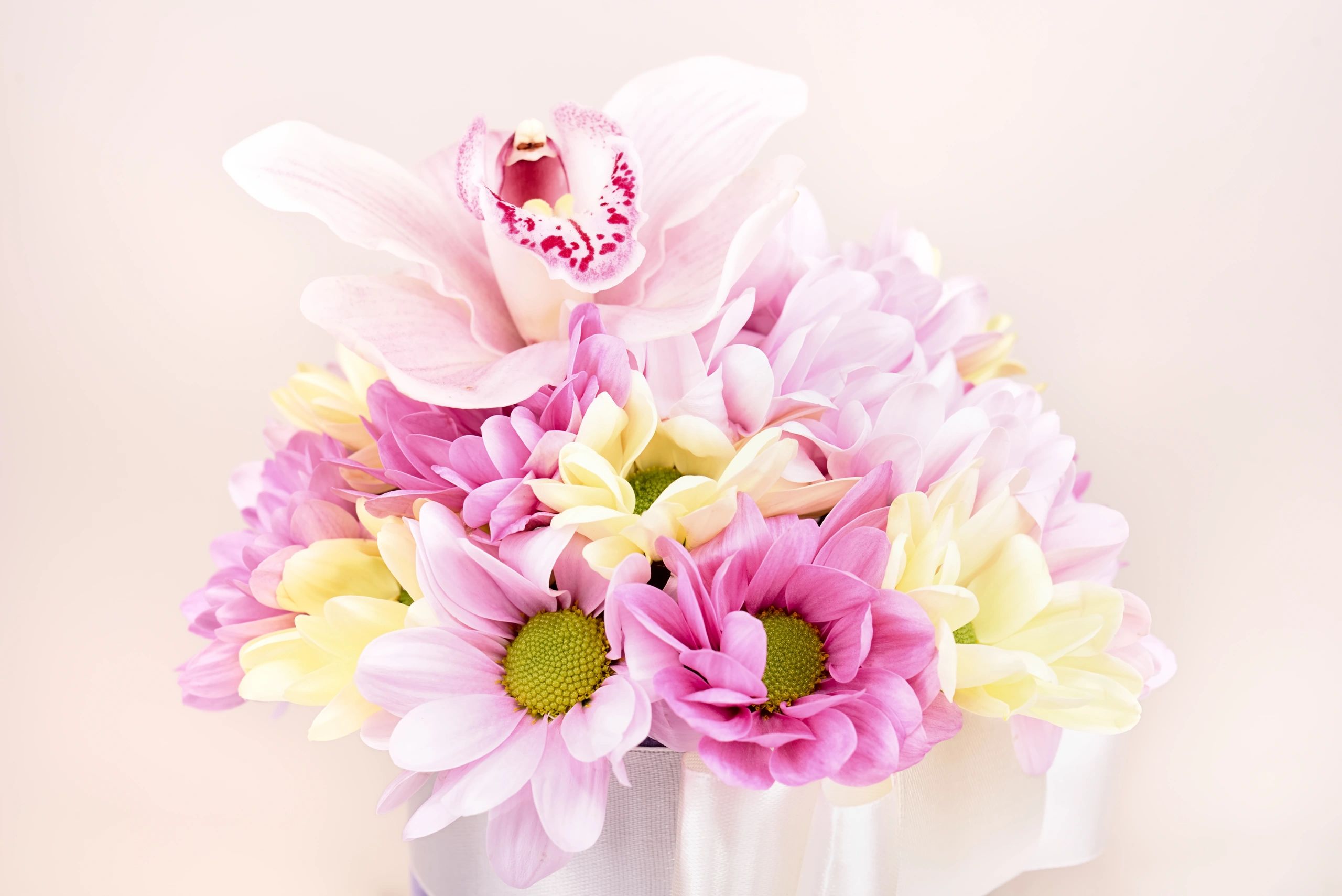 Bouquet of various flowers arranged for gifting